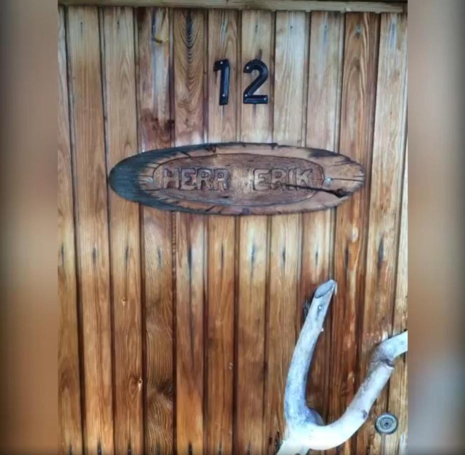Laetasenonmajat Hotel Enontekiö Eksteriør billede